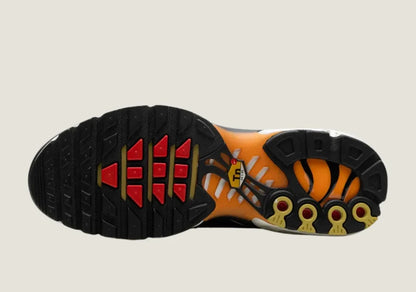 Swarovski Air Max Plus - Sunset